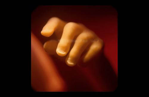 ���������� ������: ����� �������� - ������������ �� �������� ����.