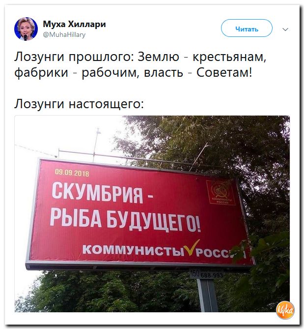 Соцсети жгут! С юмором о злободневном в ехидных скриншотах (политсатира) Соцсети жгут! С юмором о злободневном в ехидных скриншотах (политсатира)