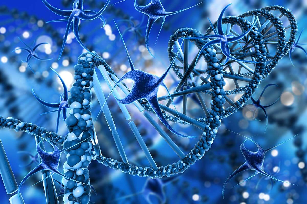 Membranes: прополис взаимодействует с клетками человека