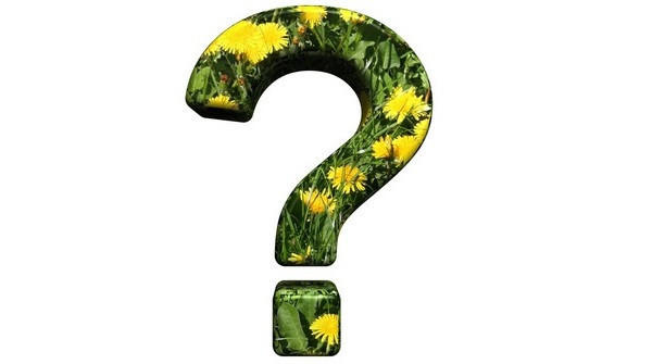 Как очистить колодезную воду с повышенным содержанием железа?