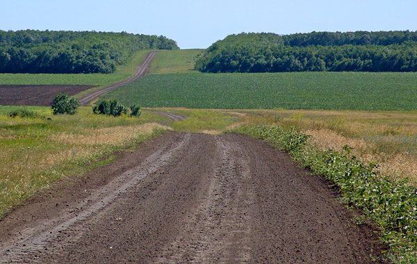 Сталинский план преобразования природы сталин, ссср, лес, природа