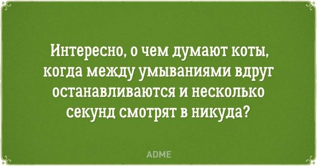 20 открыток о нелегкой жизни котов и их владельцев