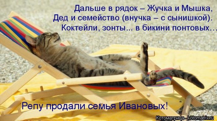 Лучшие котоматрицы недели