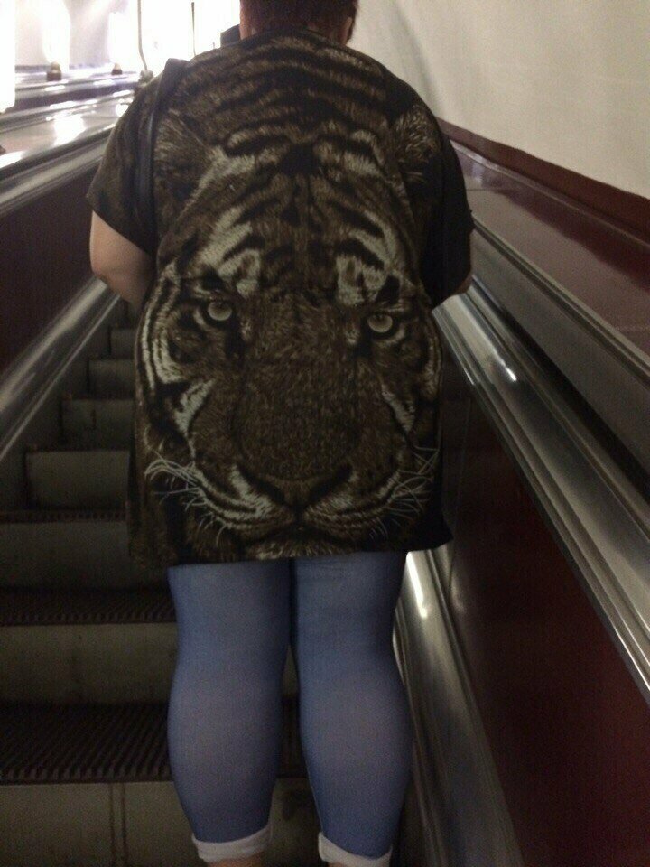 Лишь бы не зарычал Пассажиры метро слишком модные для этой планеты
(20 фото)