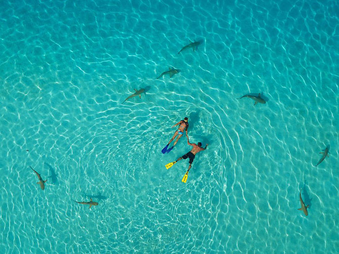 Лучшие фотографии National Geographic в июле