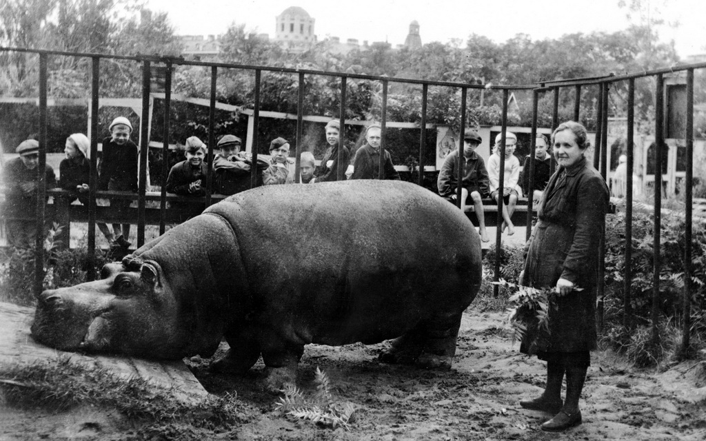 Как ленинградский зоопарк пережил блокаду spbzoo09 Как ленинградский зоопарк пережил блокаду
