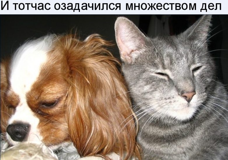 Дружба навеки