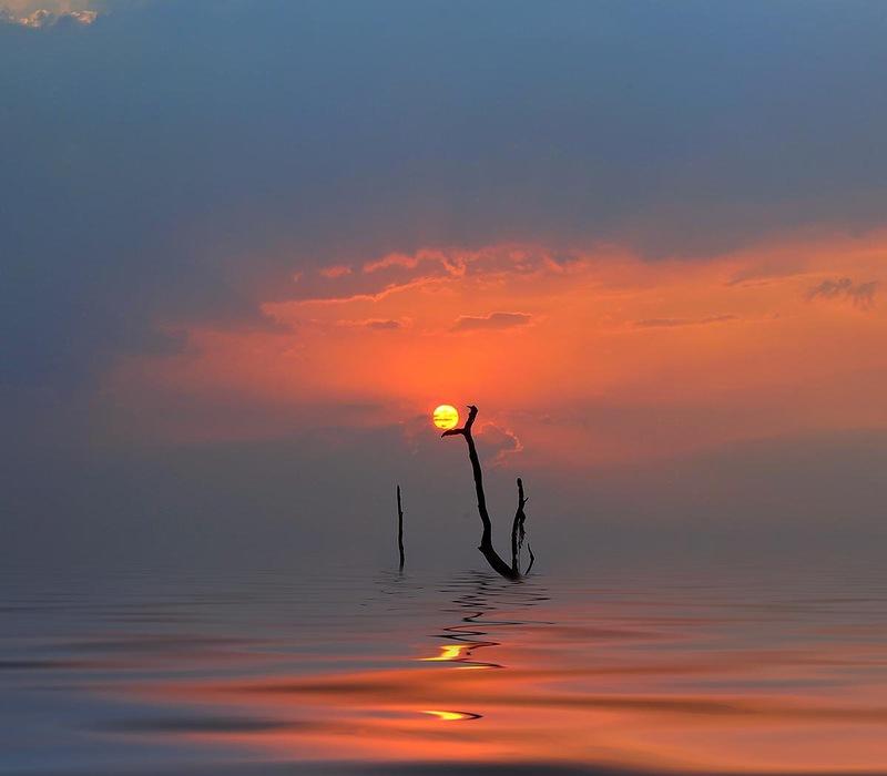 Whanset15 �������� �������� ������� � ����������� �������� �������