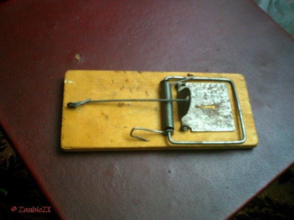 интересное, прочее, девушки, прикол, про жизнь, для одноклассников, прикольные и смешные, для вконтакте, прочие, для аськи