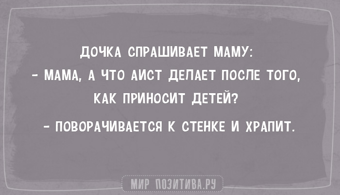 АНЕКДОТЫ + АНЕКДОТЫ +