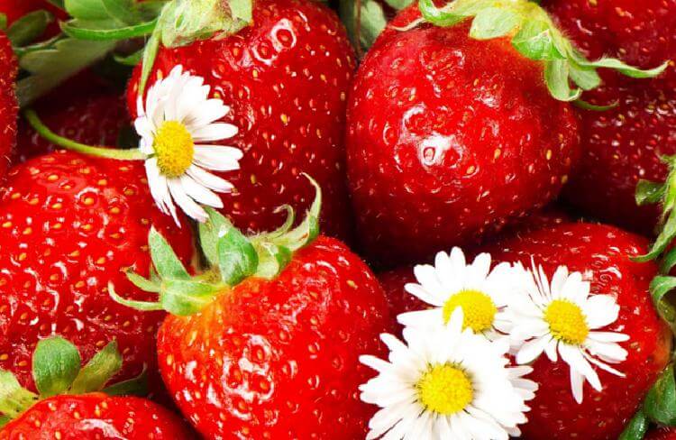 10 полезных продуктов, которые вы едите неправильно 10 полезных продуктов, которые вы едите неправильно