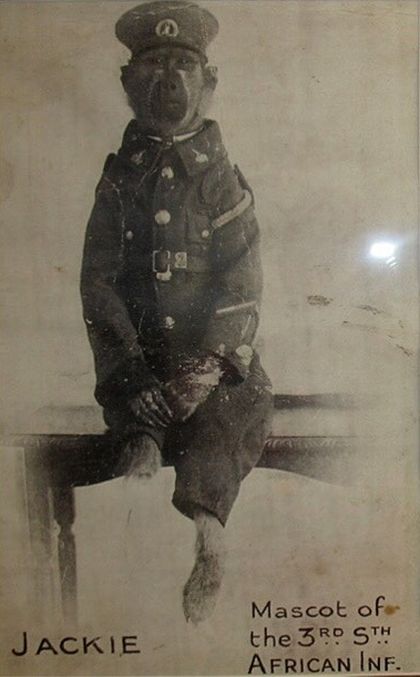 Занятные факты из разных областей - Фото