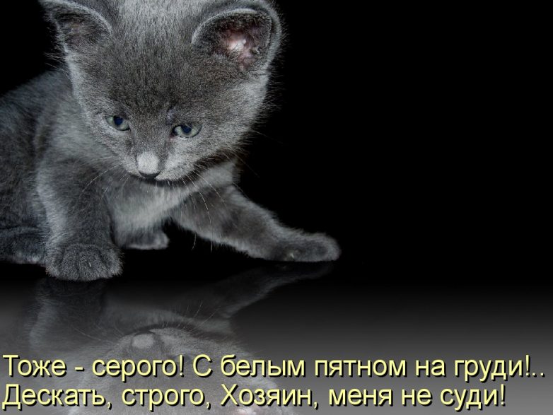 Дружба навеки