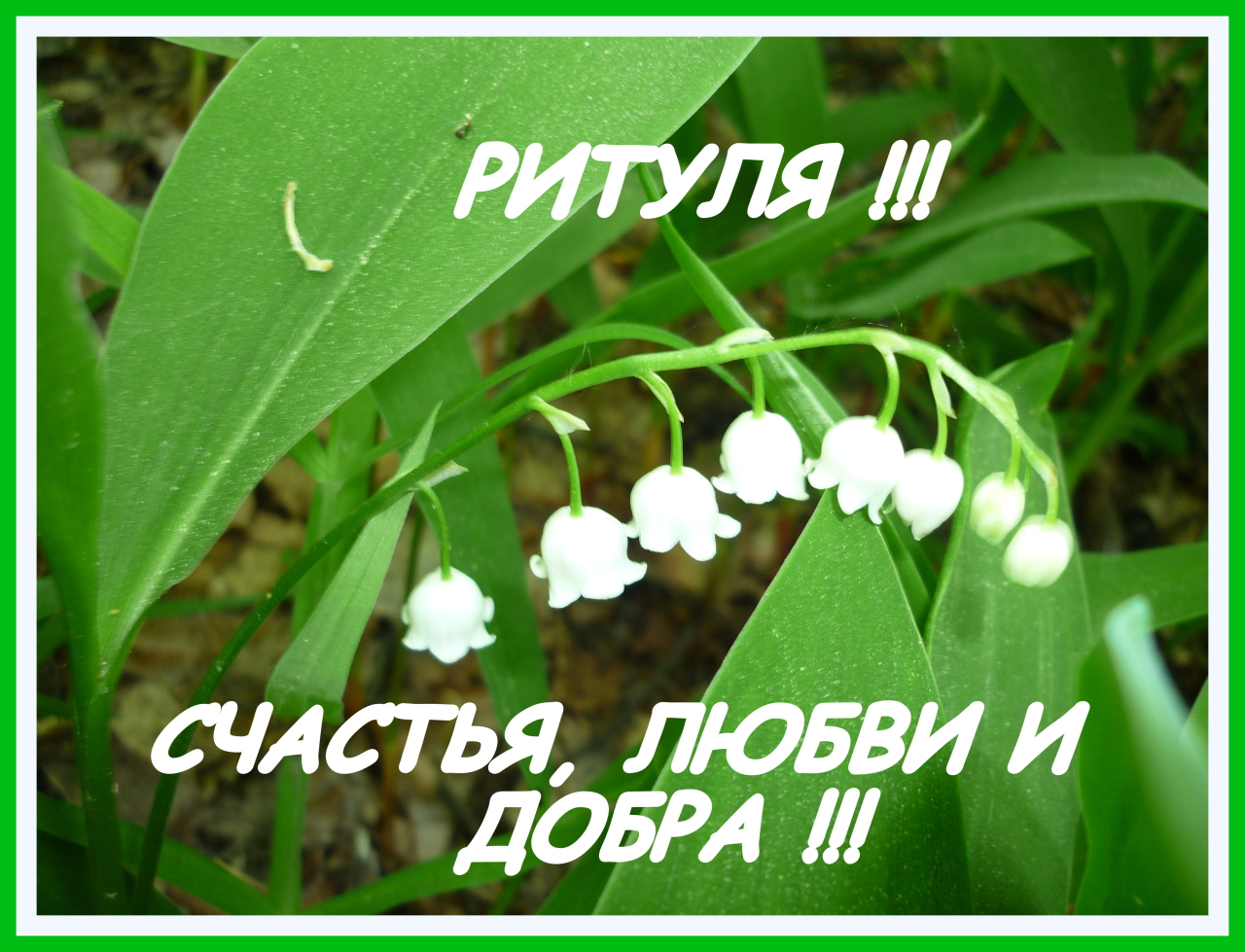 Домик для кошек изготовление своими руками Домик для кошек изготовление своими руками