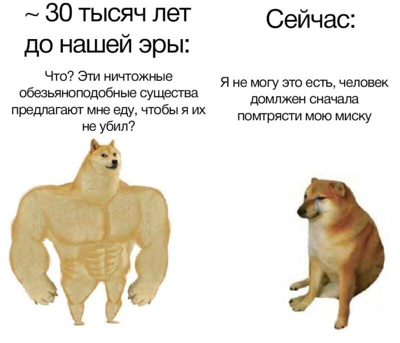 Накачанный Доге и плачущий Чимс: Что за мем?