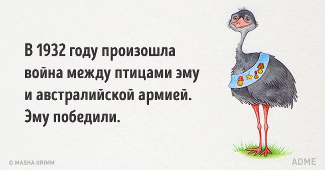 20 абсурдных фактов, которые на самом деле чистая правда
