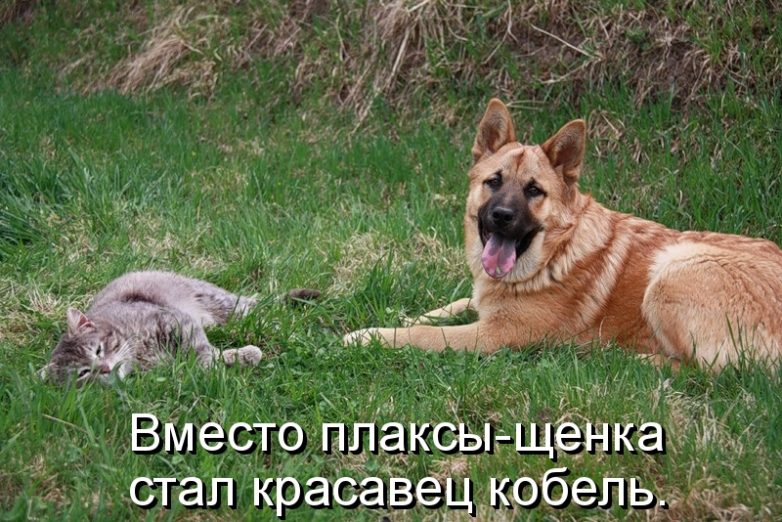 Дружба навеки