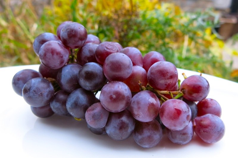 13 продуктов, которые расправляются с раковыми клетками, не трогая здоровые 13 продуктов, которые расправляются с раковыми клетками, не трогая здоровые