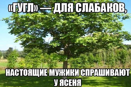 original.jpg