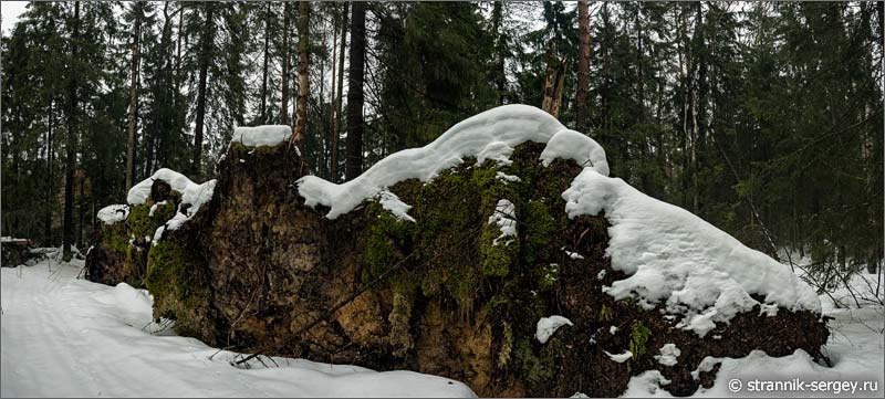 Праздник любования туманами