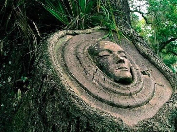 Духи деревьев от скульптора Keith Jennings