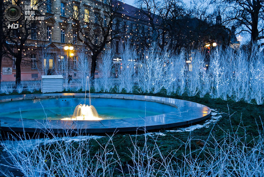 Рождественская сказка