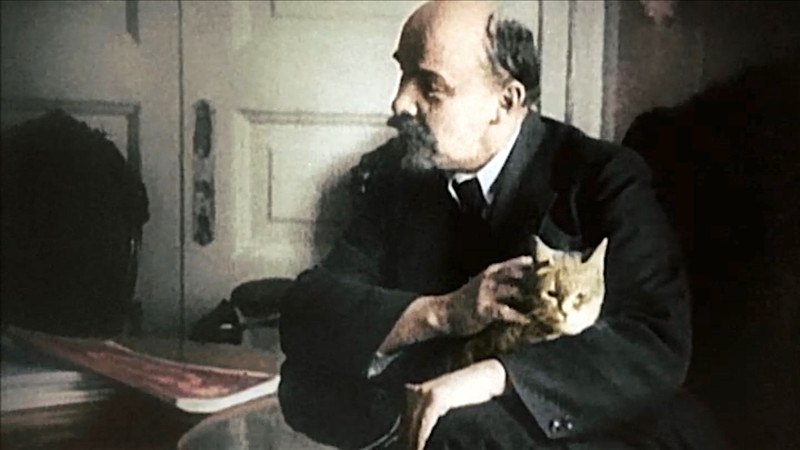 Ленин и Коты Ленин и Коты