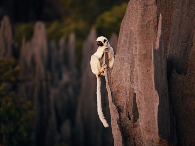 Лучшие фотографии National Geographic в июле