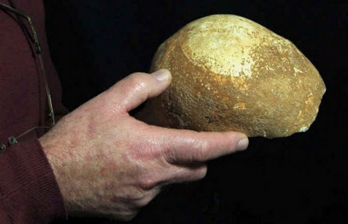 10 древних черепов, которые приоткрыли завесу тайны над прошлым человечества