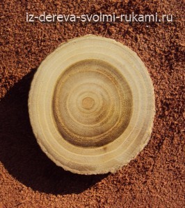 Вяз. Текстура дерева