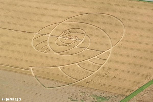 Загадочные круги на полях – 60 интересных фотографий
