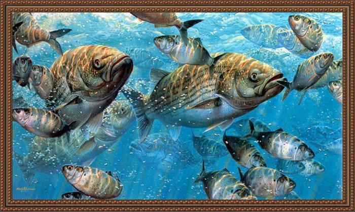 Mark Susinno (Марк Сузинно), Рыбы, подводный мир Mark Susinno (Марк Сузинно), Рыбы, подводный мир