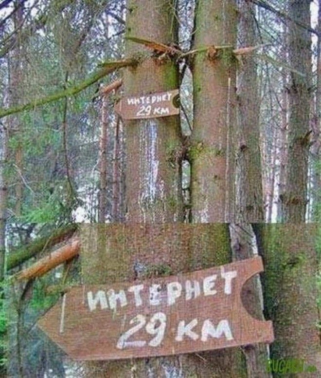 15 оригинальных объявлений и надписей, которые выжмут из вас все слёзы смеха 15 оригинальных объявлений и надписей, которые выжмут из вас все слёзы смеха