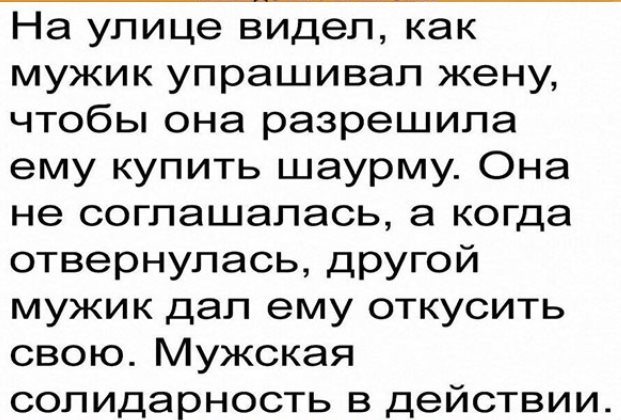 Бобер, увидев охотника, опознал на его голове пропавшего деда Бобер, увидев охотника, опознал на его голове пропавшего деда