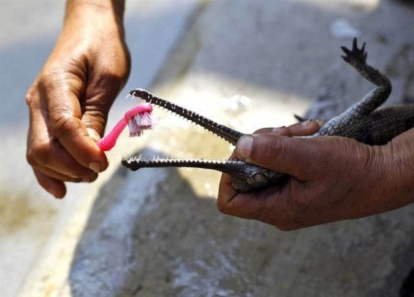 Интересные фотографии