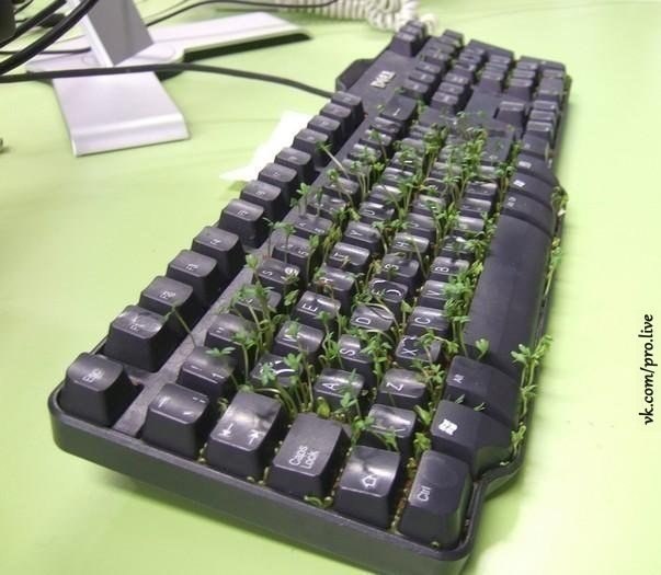 Как разыграть коллегу, когда тот уходит в отпуск? Как разыграть коллегу, когда тот уходит в отпуск?