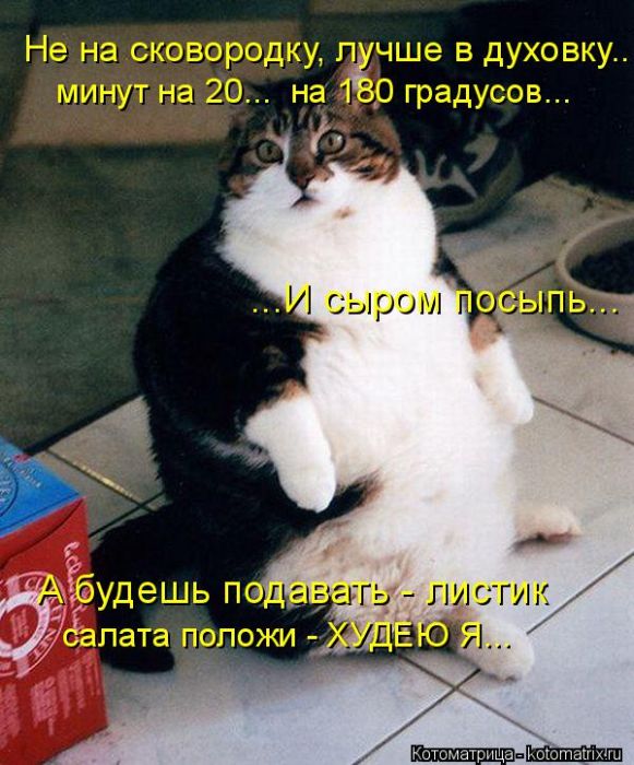 http://mtdata.ru/u30/photo276B/20320346794-0/original.jpg
