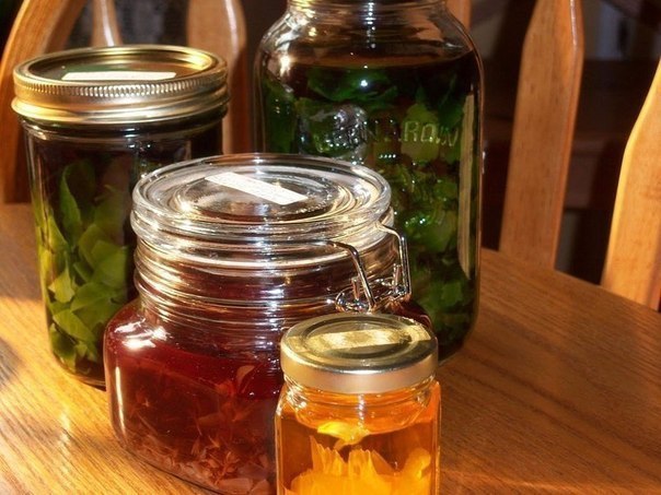 ��������, ������� ���������� ����� � �������� �������