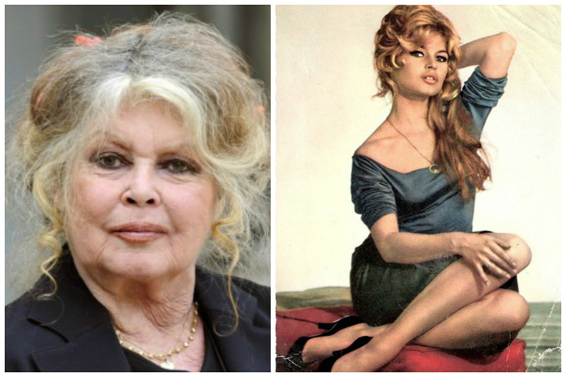 Брижит Бардо. Без слов Брижит Бардо. Без слов актрисы, интересное, кино, красота, молодость, роли, факты