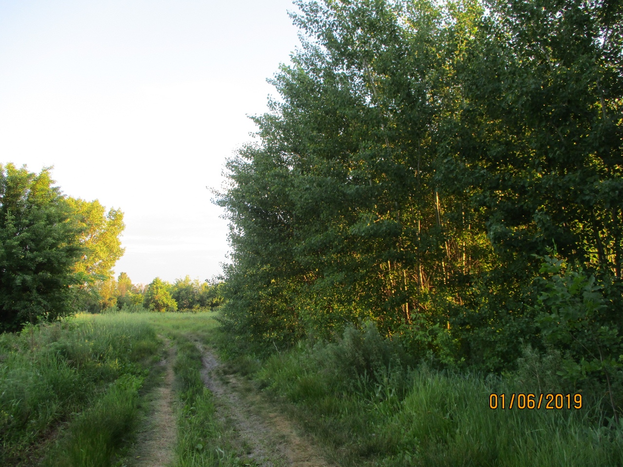 Природа России 35