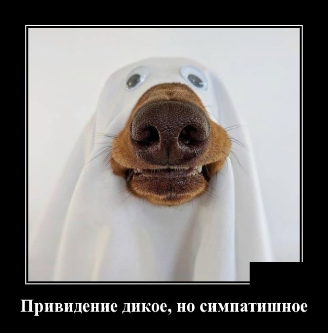 Демотиваторы смешные Демотиваторы смешные