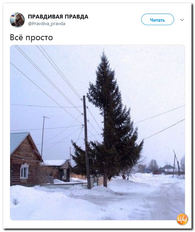 df00c9f6f01d2a8614a31fa666cf6e4e.jpg
