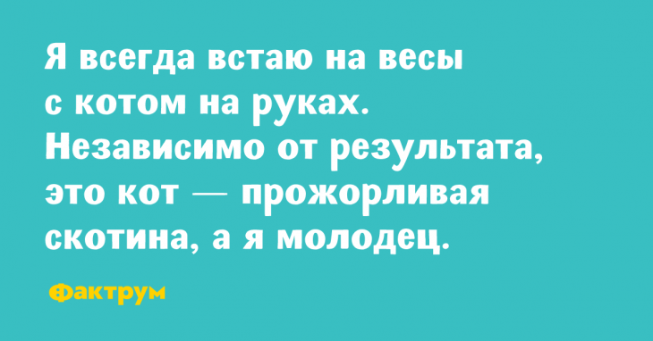 Десятка анекдотов, от которых невозможно не рассмеяться Десятка анекдотов, от которых невозможно не рассмеяться