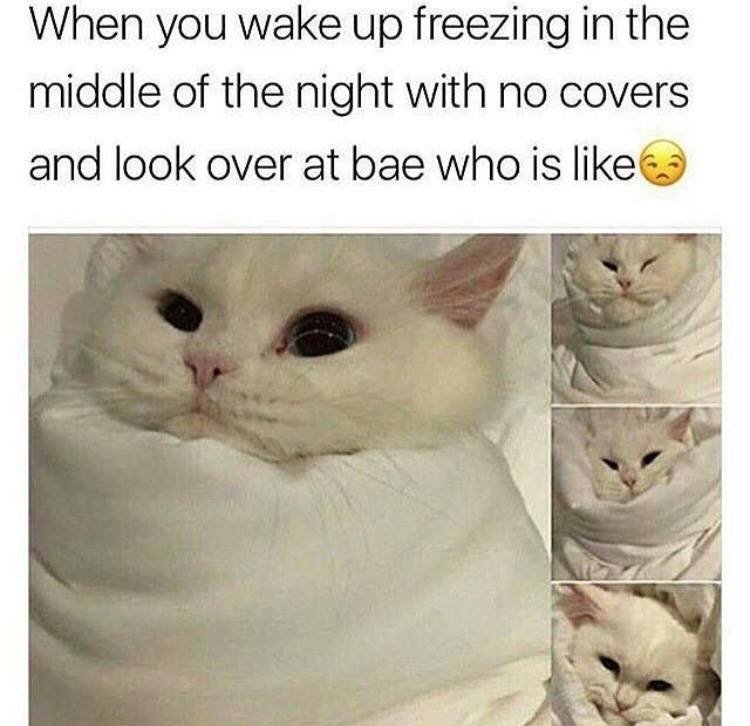 tk random memes that made us spit out our morning coffee this week 242 Random memes that made us spit out our morning coffee this week (59 photos)