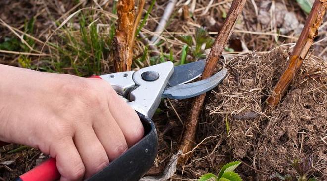 ������� ������