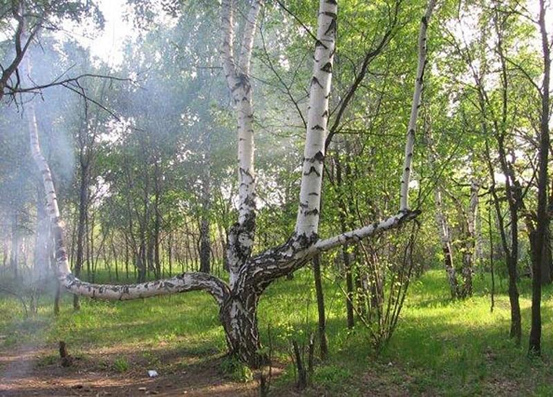 Самые жуткие места в России, наводящие леденящий ужас Самые жуткие места в России, наводящие леденящий ужас