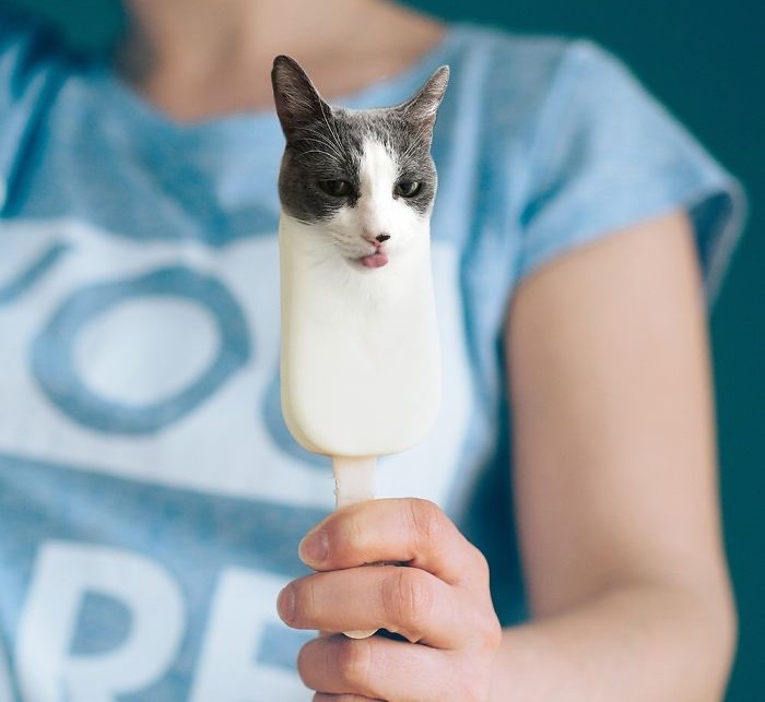 Котенок как-будто пытается попробовать мороженое. Котенок как-будто пытается попробовать мороженое.