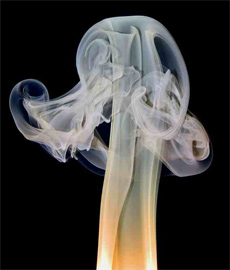 Ядовитый дым