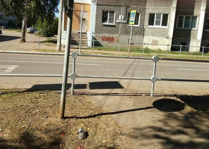 Переход под прикрытием. Переход под прикрытием.
