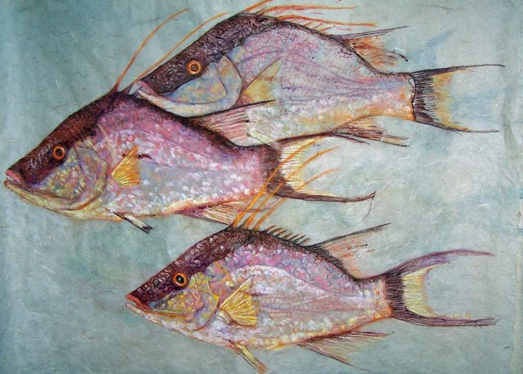 7 странных рисунков Гиотаку. Вместо кисти художники используют рыбу